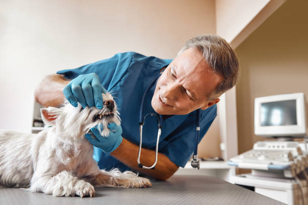 Best Emergency Dental Care for Trauma or Injury in Gerdine, AL